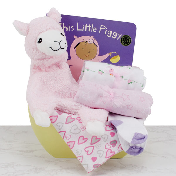 Sleepy Time Baby Girl Gift Basket