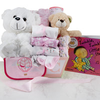 Baby Girl Welcome Gift Basket