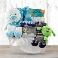 Baby Boy Indulgence Gift Basket