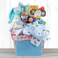 Baby Boy Celebration Gift Basket