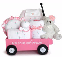 Deluxe Baby Girl Welcome Wagon